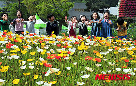 제 26회 함평나비대축제 기본정보와 프로그램 소개 박지현 지원이 박서진 김정우 코요태 육중완밴드 윤도현밴드 비스타 케이씨 허니제이&amp;홀리뱅 출연
