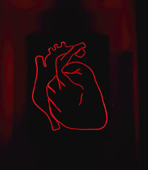 심장