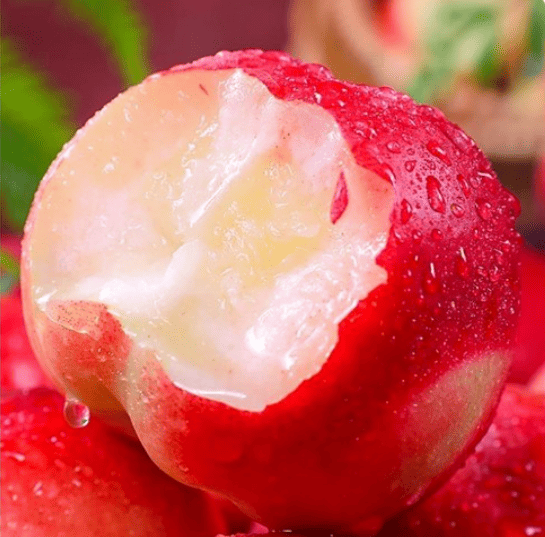 신비복숭아 추천 순위 TOP 5(25년 6월) - 네이버, 쿠팡 인기 판매 랭킹 비교