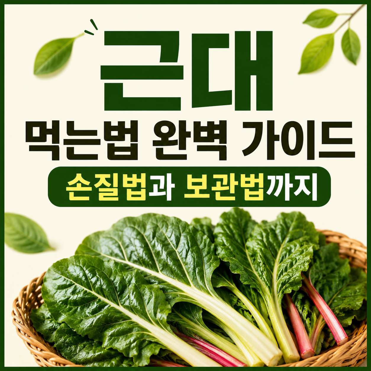 근대 효능