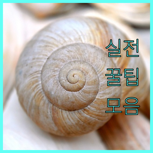 요양병원 약물 관리: 만성 질환부터 