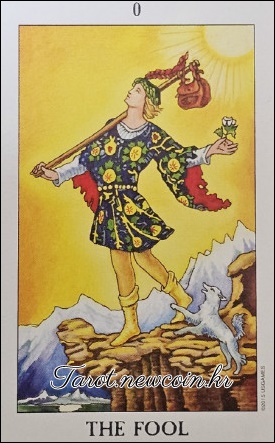 오늘의 타로 운세