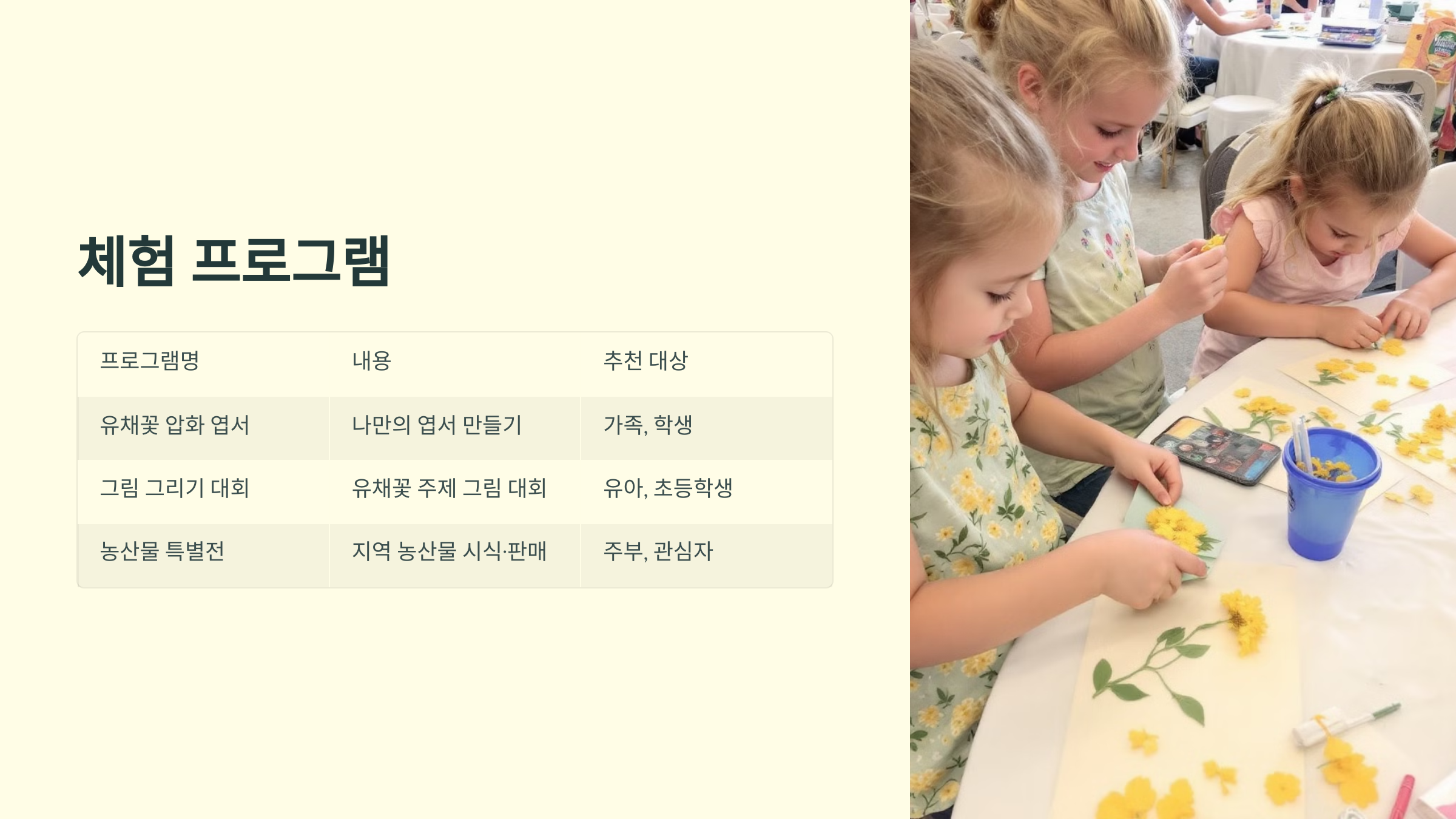 창녕에서 즐기는 2025 낙동강유채축제, 봄을 걷다