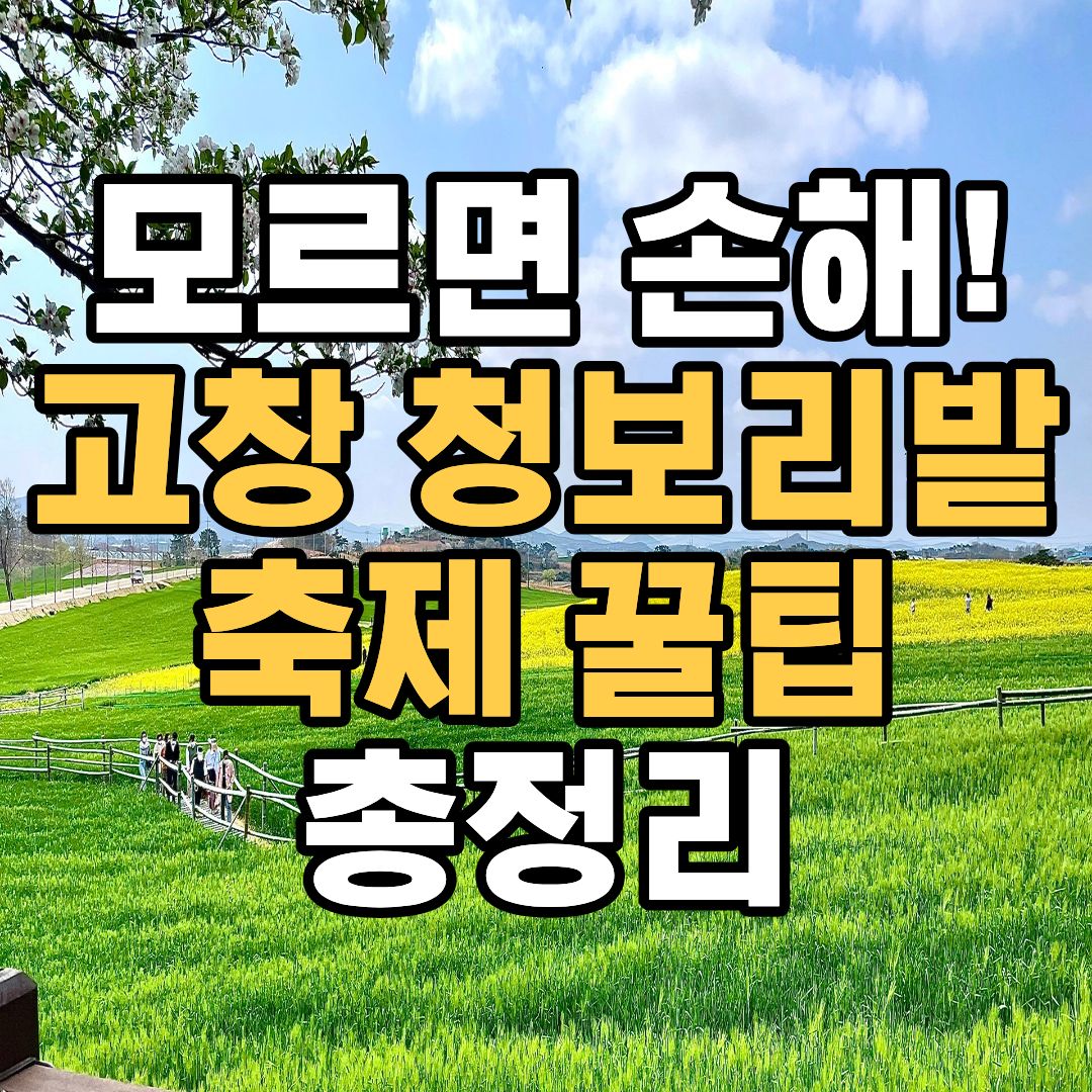 고창 청보리밭 축제 일정 입장료 주차장 가는길 총정리