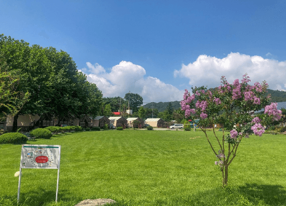 꽃구경 가볼만한 곳