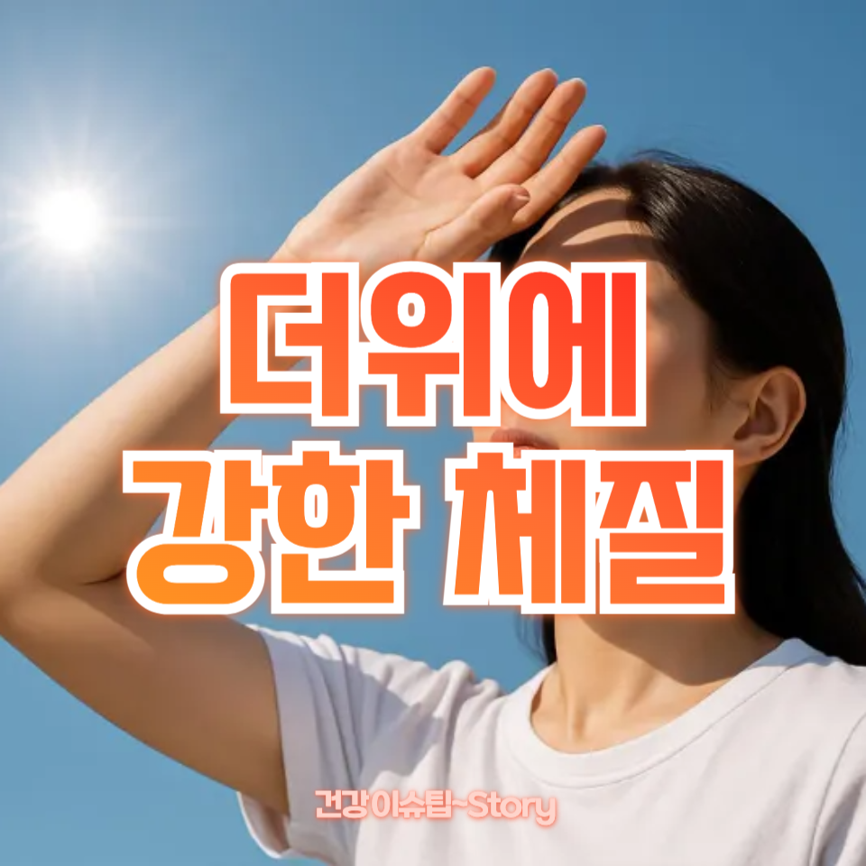 더위에 강한 체질