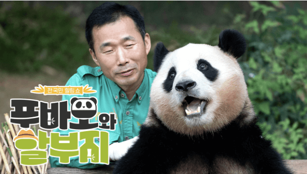 푸바오와 할부지 재방송&#44; 강 사육사의 눈물의 이별