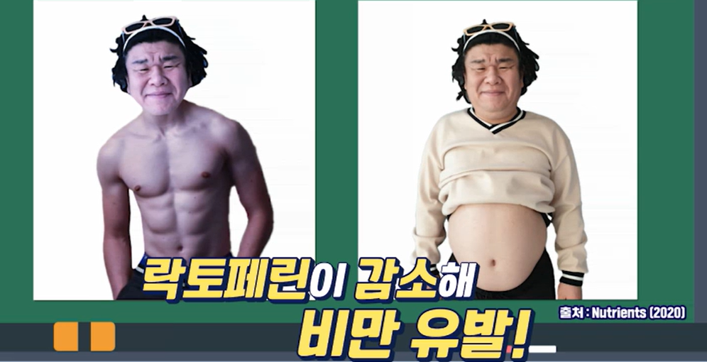 락토페린