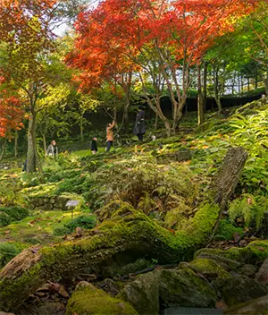 화담숲 테마별 사진