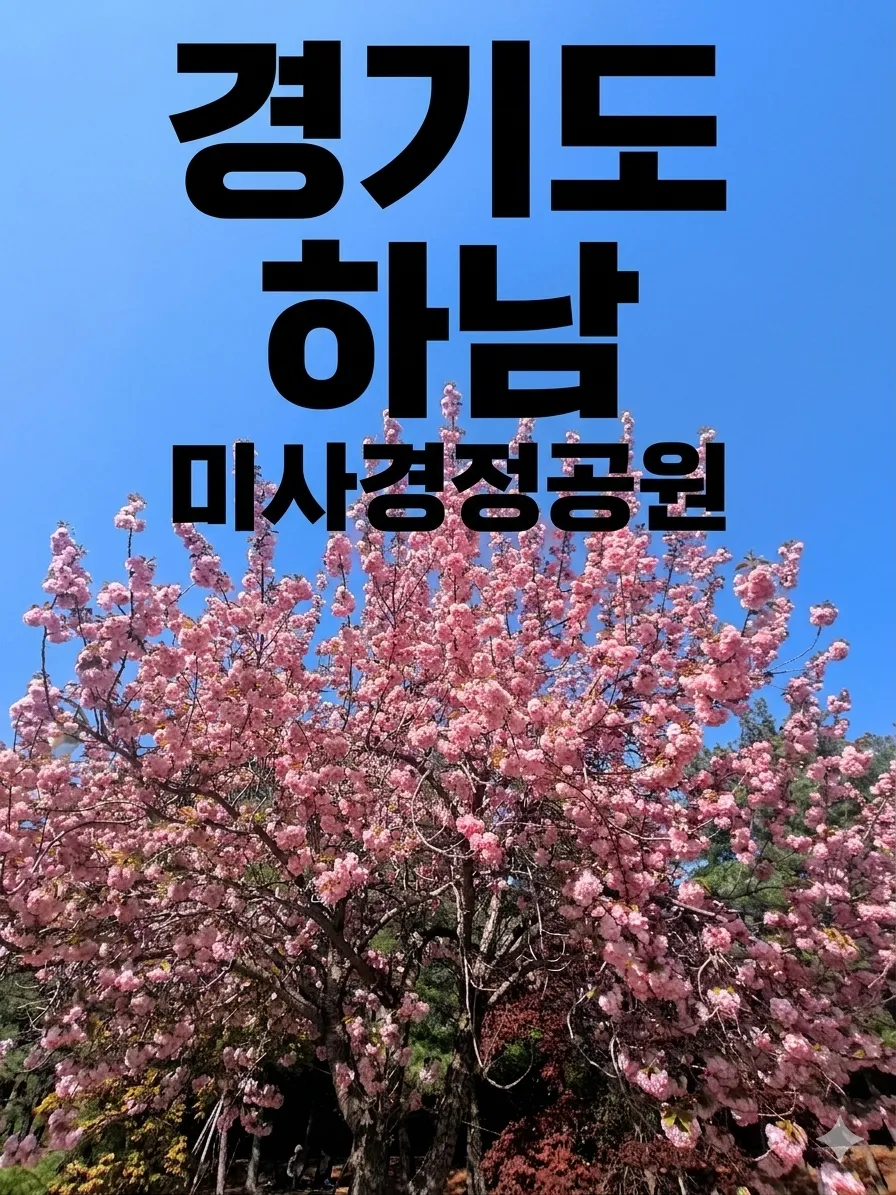 경기도 하남 미사경정공원 겹벚꽃 교통