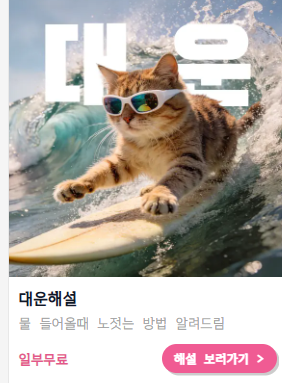 사주아이 (대운)