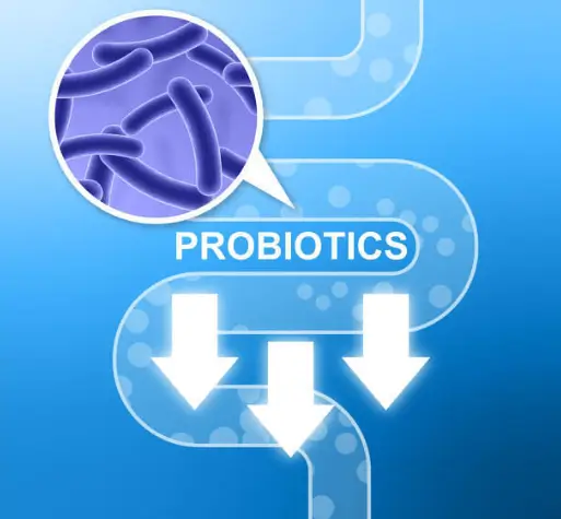 낙산균 효능과 부작용
