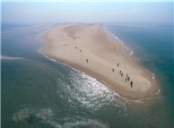 바다의_필수_앱_해로드