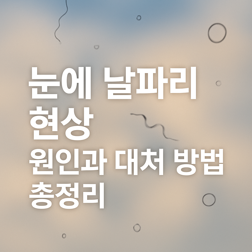 눈에 날파리 현상, 원인과 대처 방법 총정리