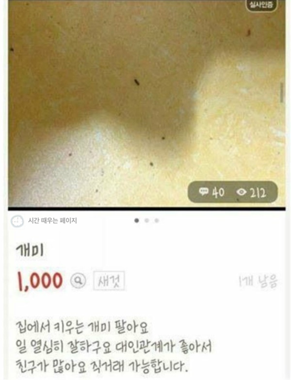빌런 뜻