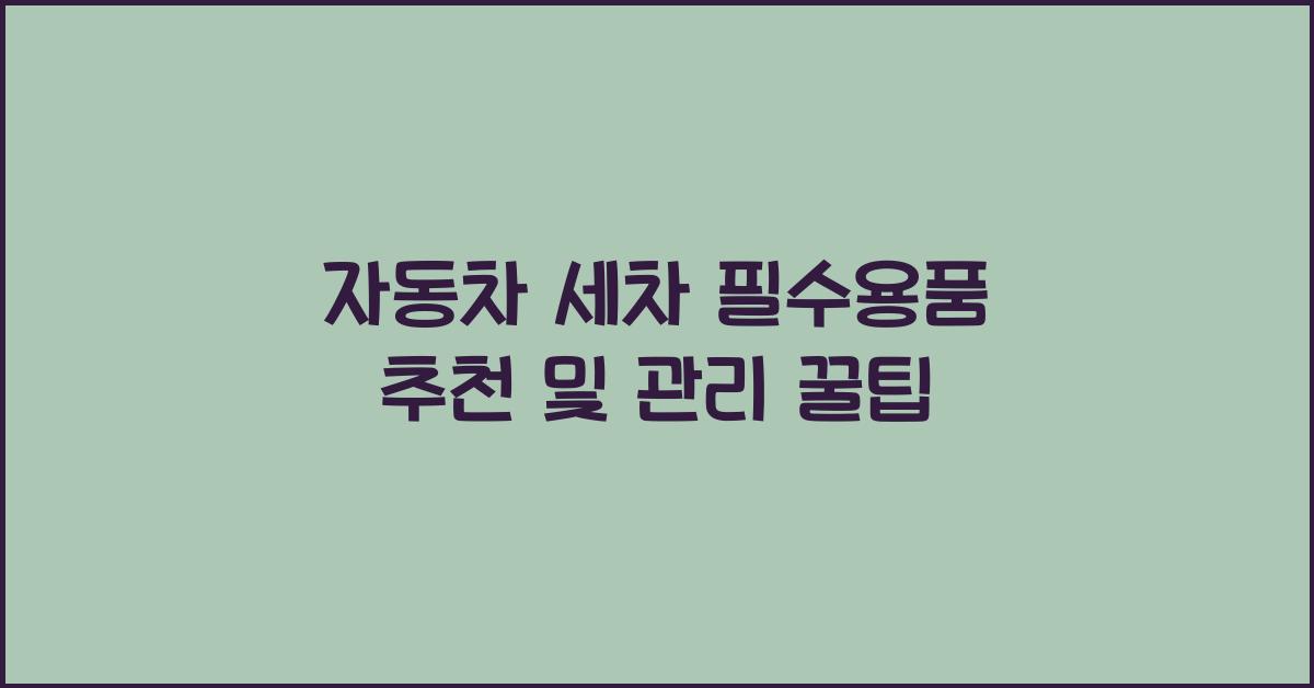 자동차 세차