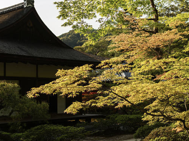 이미지-알트-태그-삽입하는-방법-썸네일