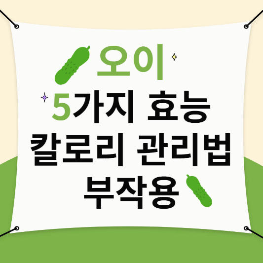 오이 칼로리, 효능, 칼로리, 관리법, 부작용