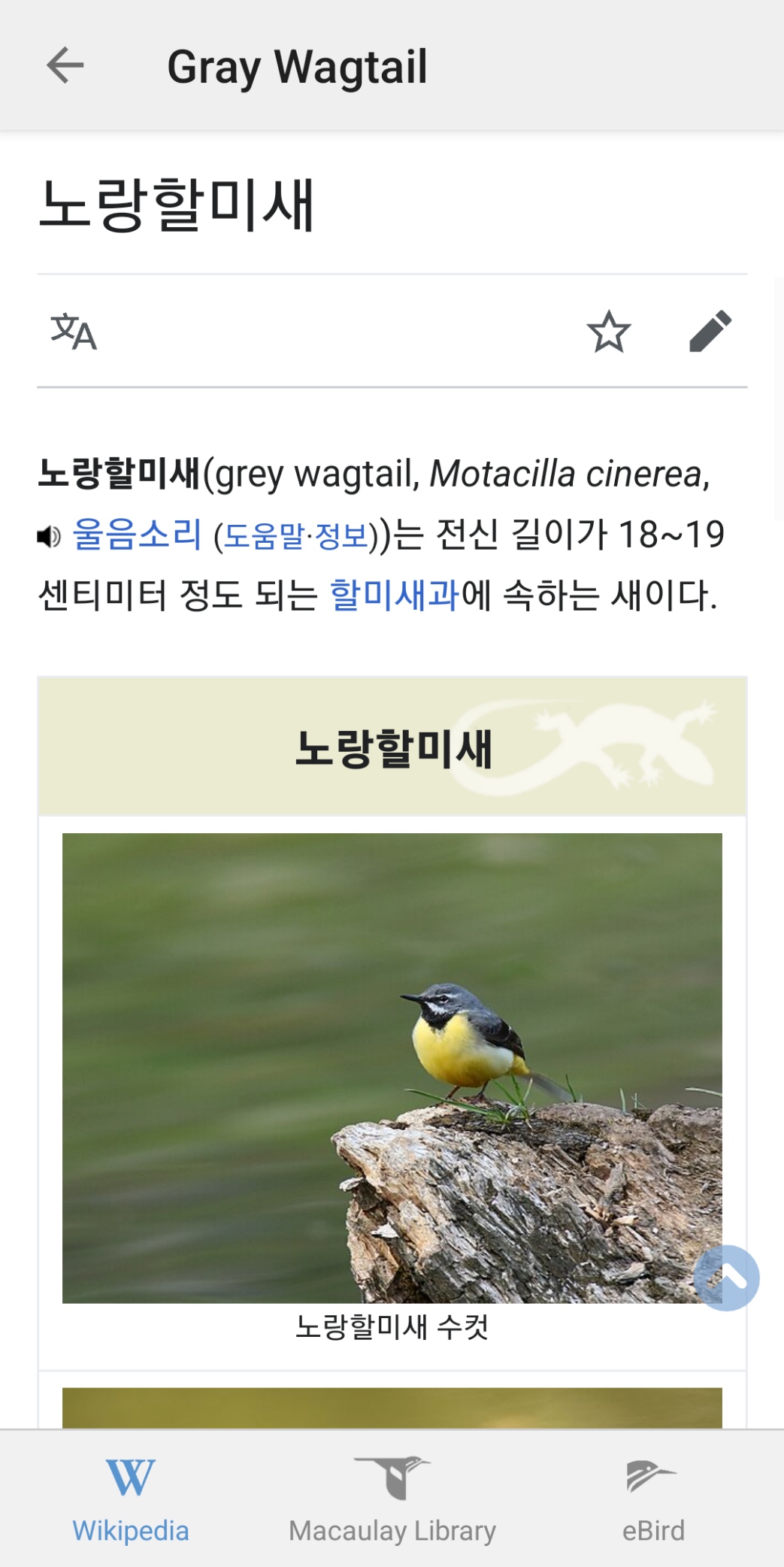 새소리 분석 결과로 새 이름 종류 확인