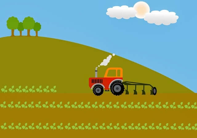 임업직불금 신청