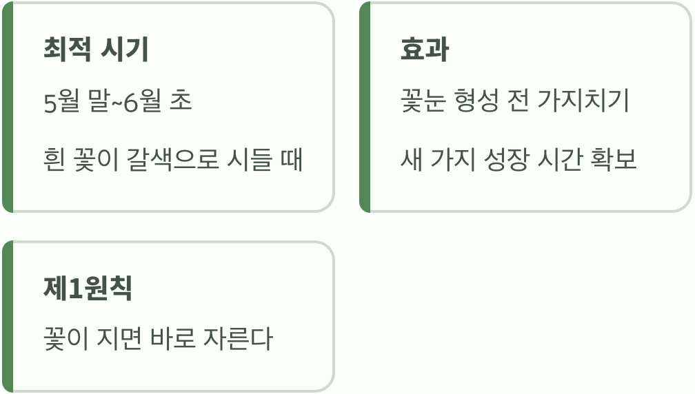 최고의 골든타임, '꽃이 진 직후'