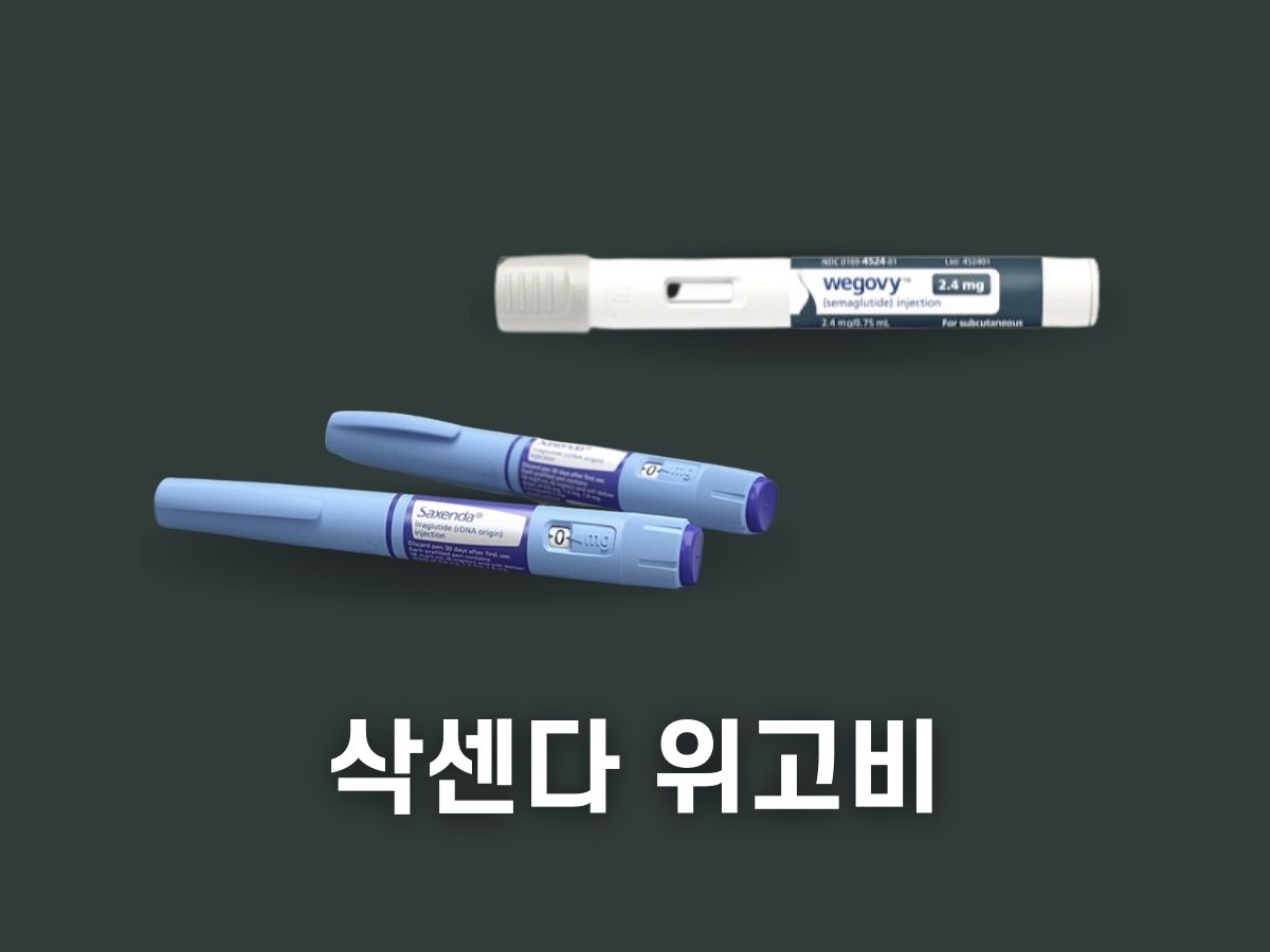 삭센다 위고비 차이