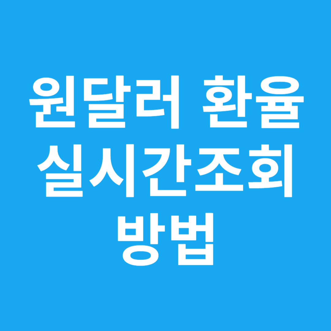 원달러 환율 실시간조회 방법