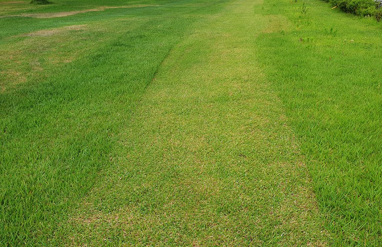 경기도 가평 청심빌리지 실버타운 파크골프장