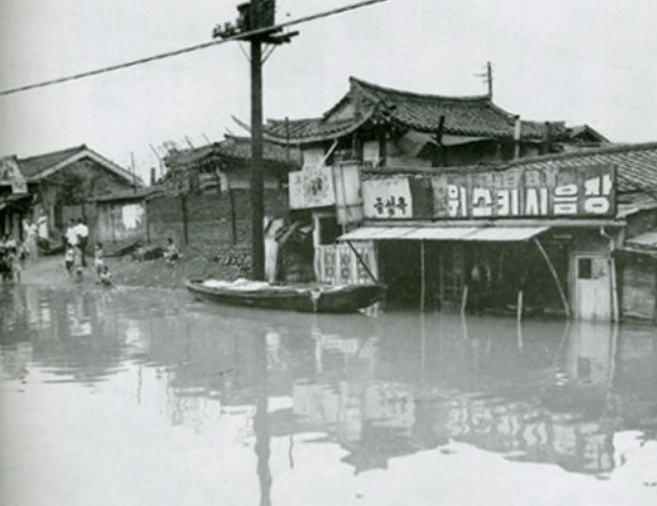 태풍-사라-피해-규모