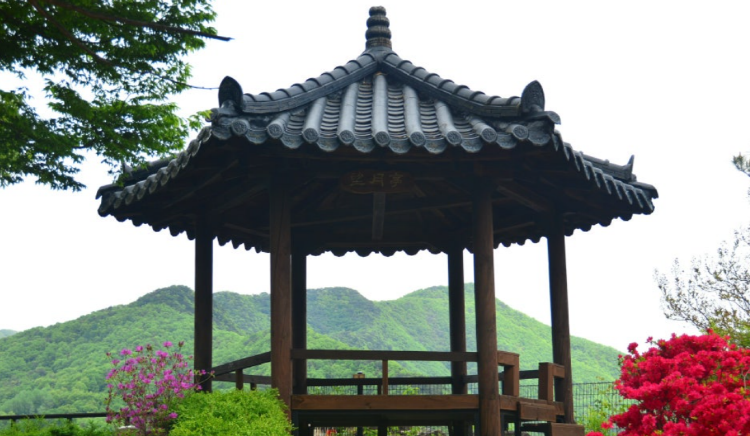 옥천 수생식물학습원