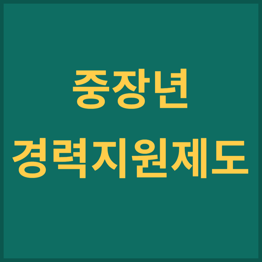 중장년 경력지원제도