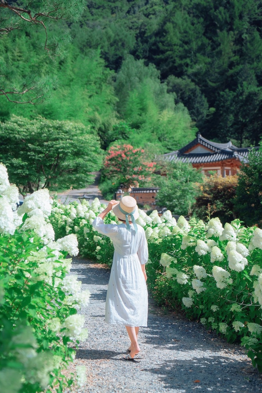 완주 두베카페