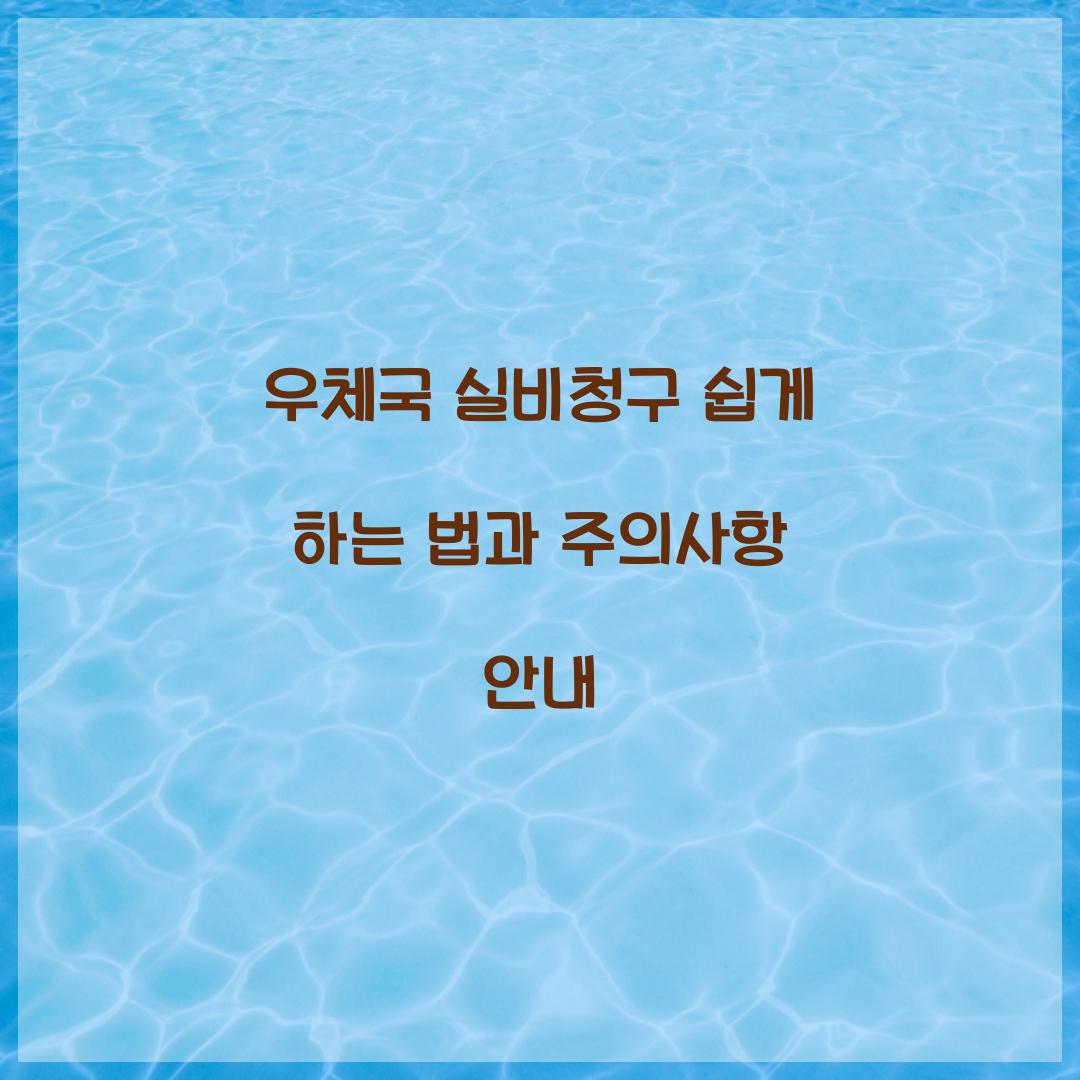 우체국 실비청구
