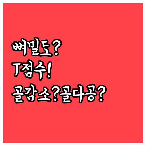 뼈 밀도 T점수로 보는 골감소증과 골..