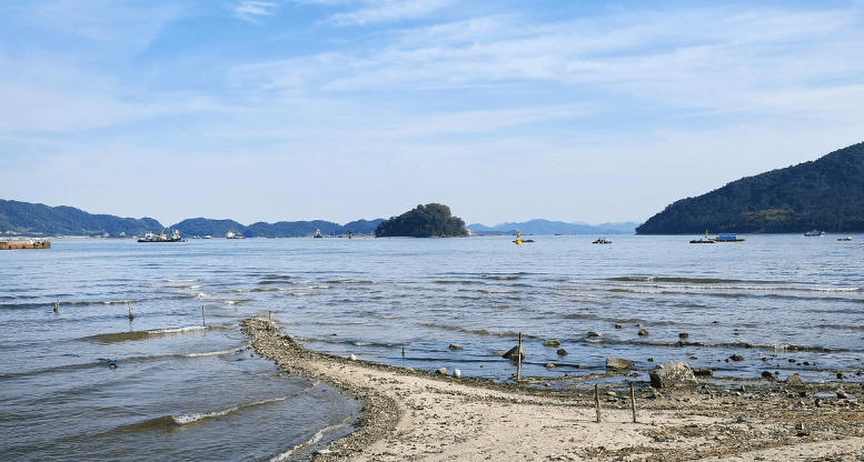 진해 바다 사진