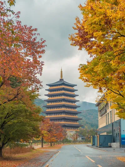가을 경주 여행 가볼만한곳 베스트 10으로 정리_3