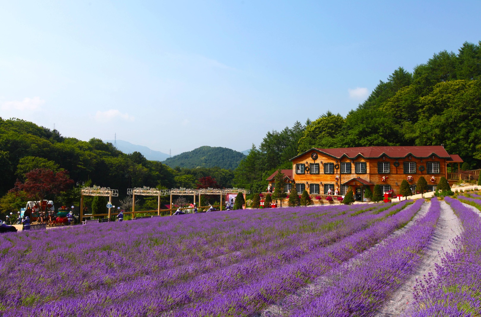 허브아일랜드 라데봄축제