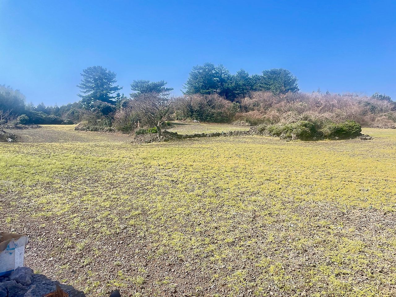 공방 뒤에서 바라본 전원 이미지