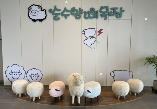 순수 양떼 목장 