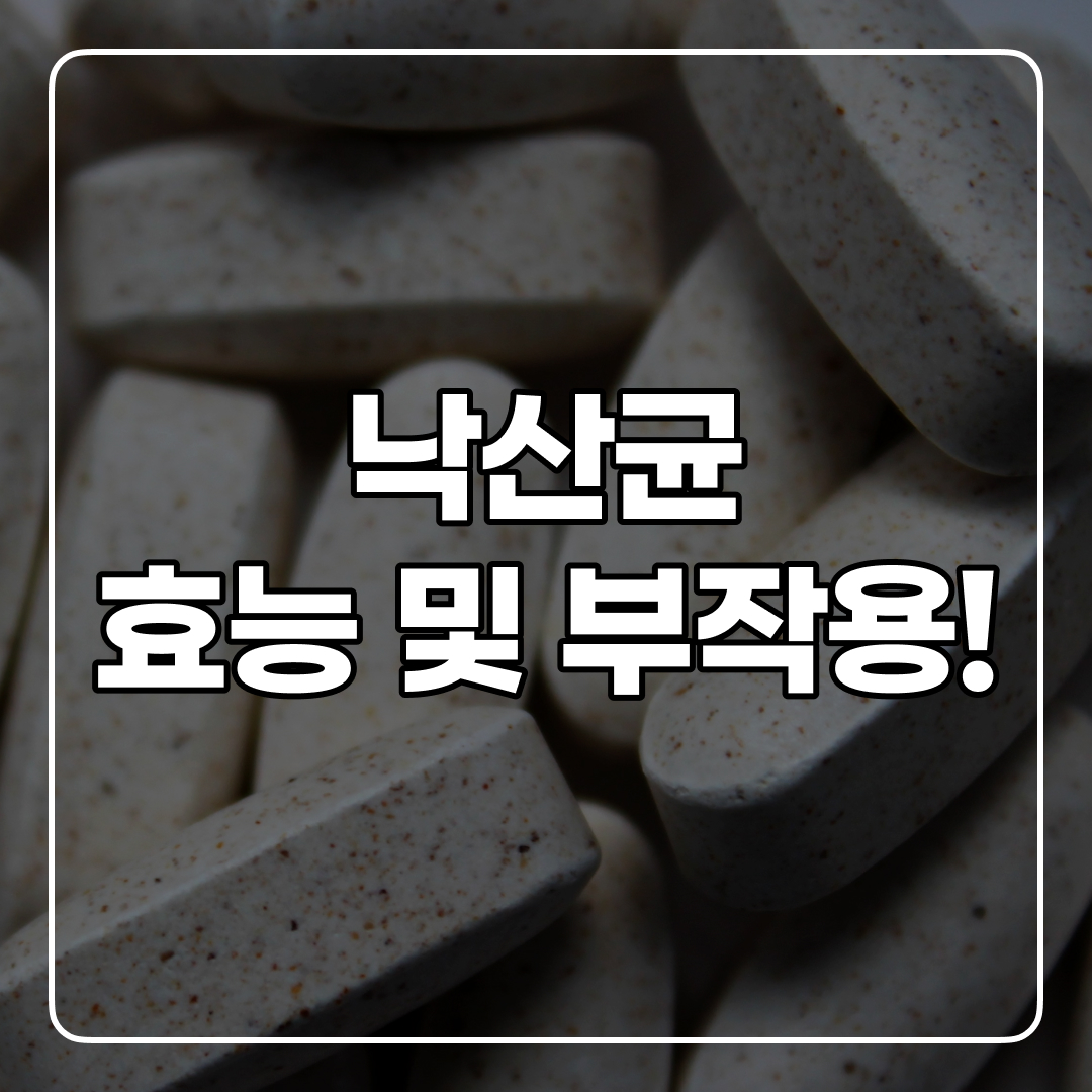 낙산균 효능
