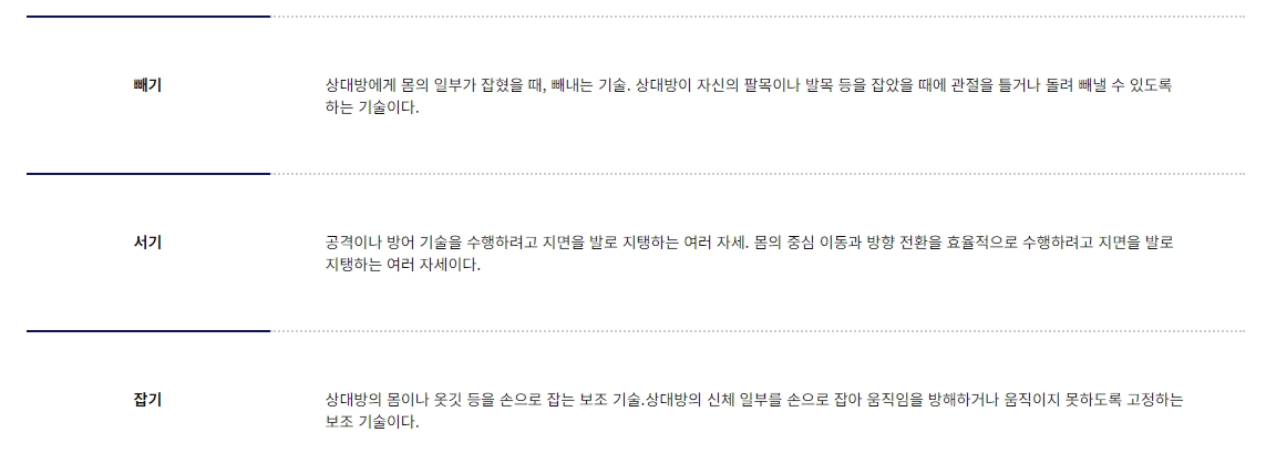 태권도의 꽃인 품새에 대한 깊이 있는 해설