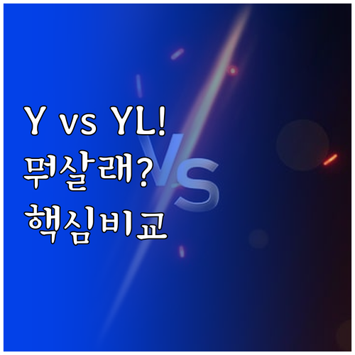 지금 모델 Y vs 모델 YL 선택 ..