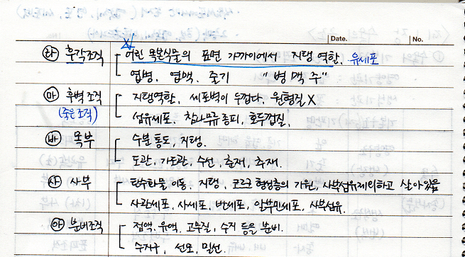 수목의 기본구조(형태별분류)