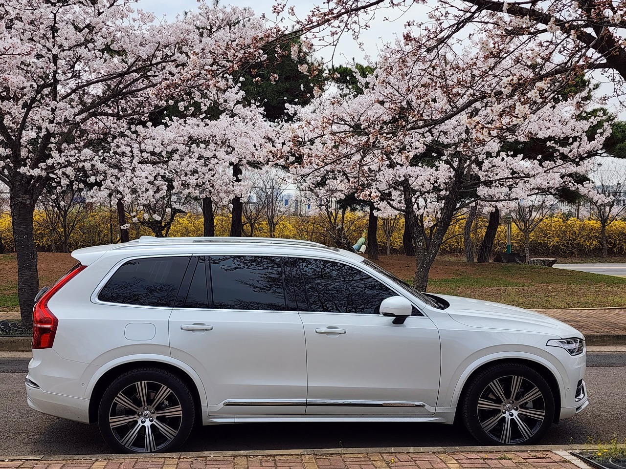 볼보 XC90 단점: 에어 서스펜션 쉬운 승하차 내릴 때 높이