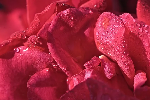 명심보감 - 작은 선과 악이 운명을 바꾸는 명심보감 교훈_5