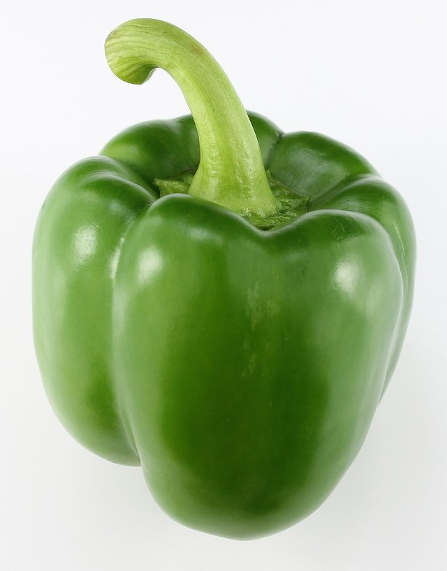 파프리카