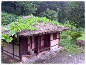 흥부골자연휴양림