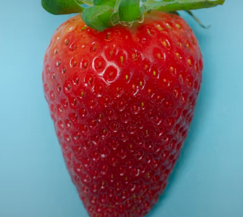 비타민C 많은 음식 (식품 과일 채소)