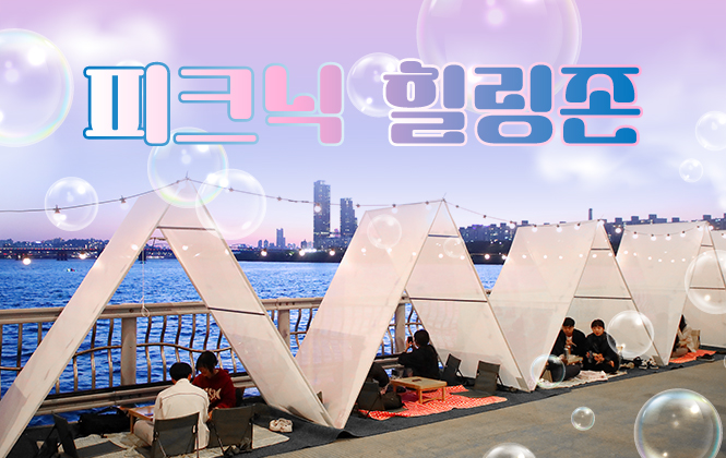 잠수교 피크닉 명소 힐링존, 예약 필수 정보 총정리