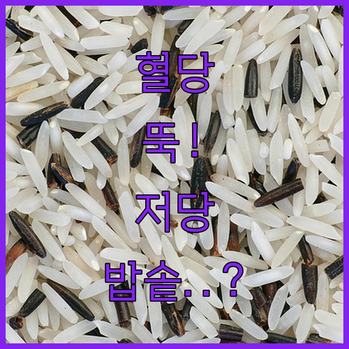 다이어트 혈당 관리용 저당 밥솥 고르..